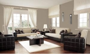 Stone Lion, Sherwin Williams, Minnesota Colors